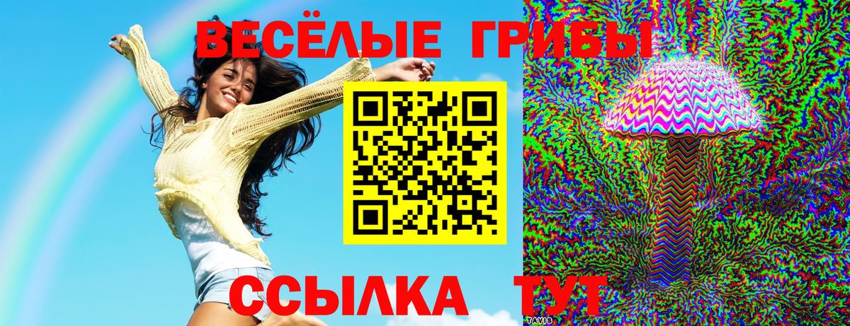 Псилоцибиновые грибы ЛСД  Галлюциногенные грибы MAGIC MUSHROOMS  Вход с VPN  Ковров 