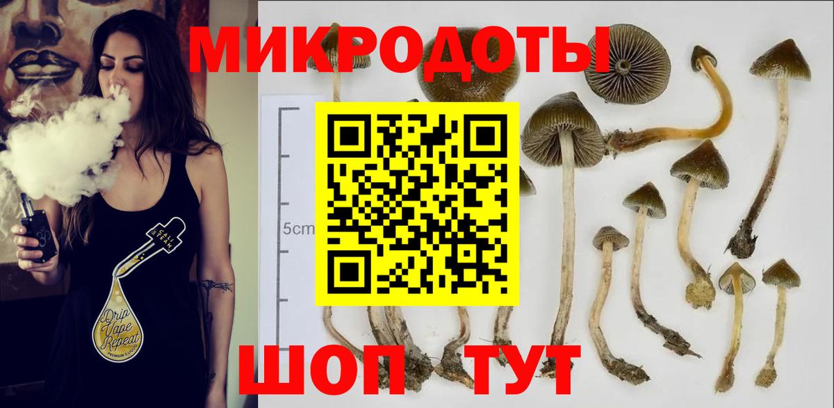 Галлюциногенные грибы мицелий Ковров